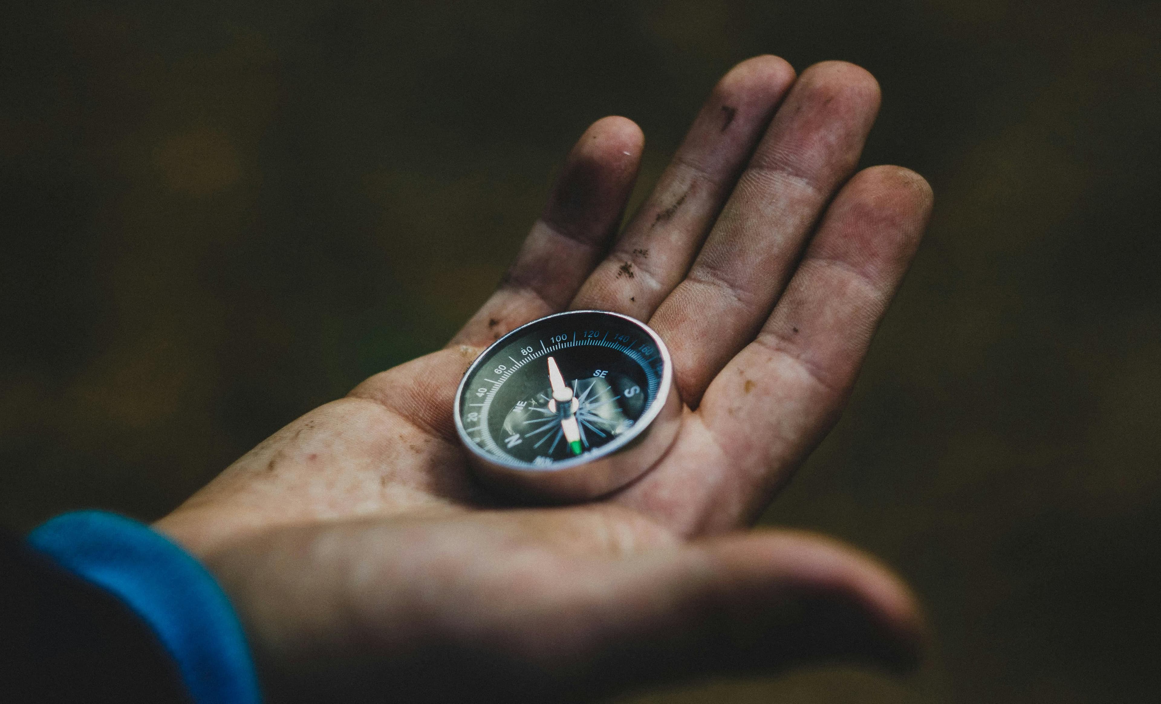 Feeling Lost in the AI Era? Here's How to Find Your Next Career Move.
